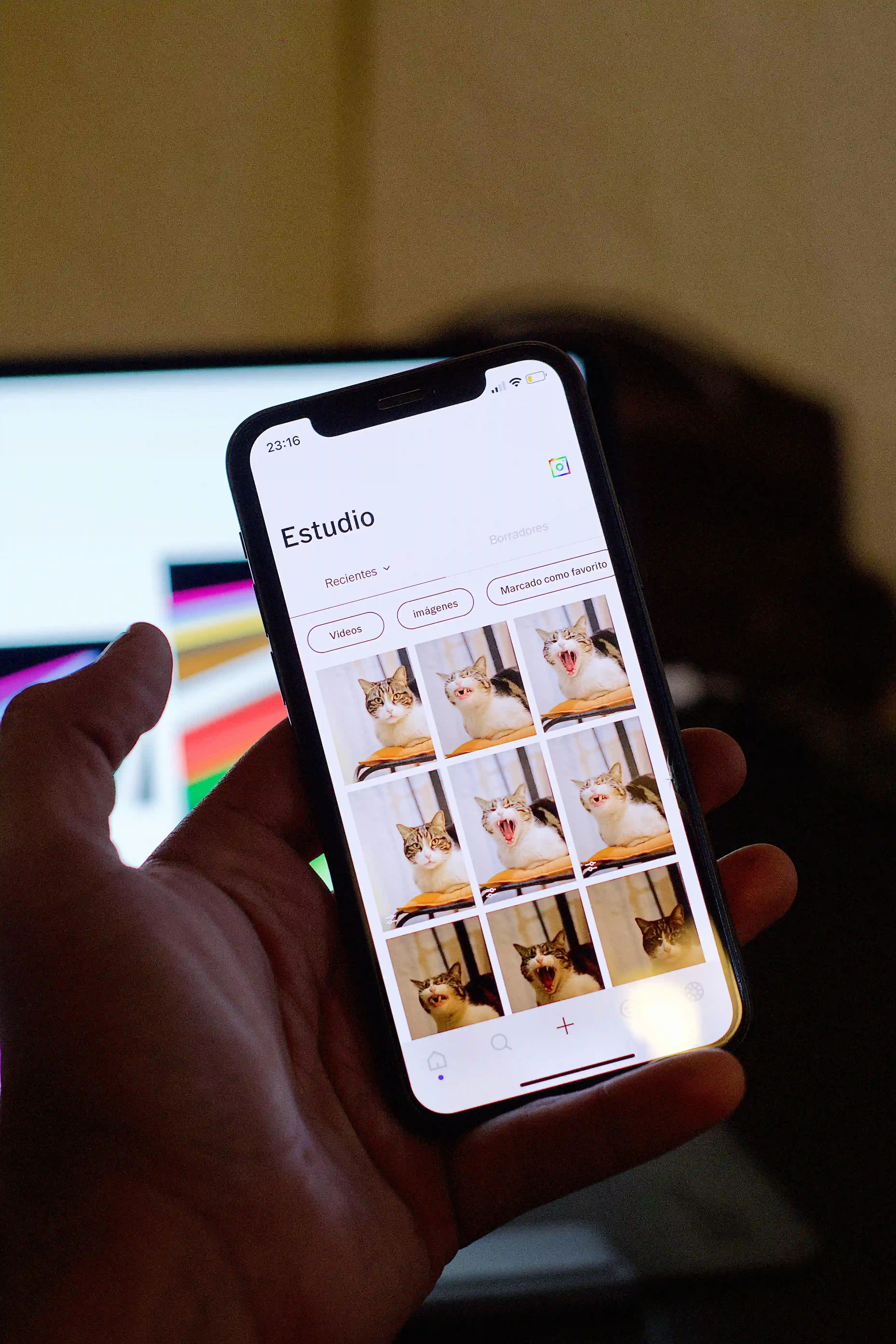 A mockup of Freelio's mobile app